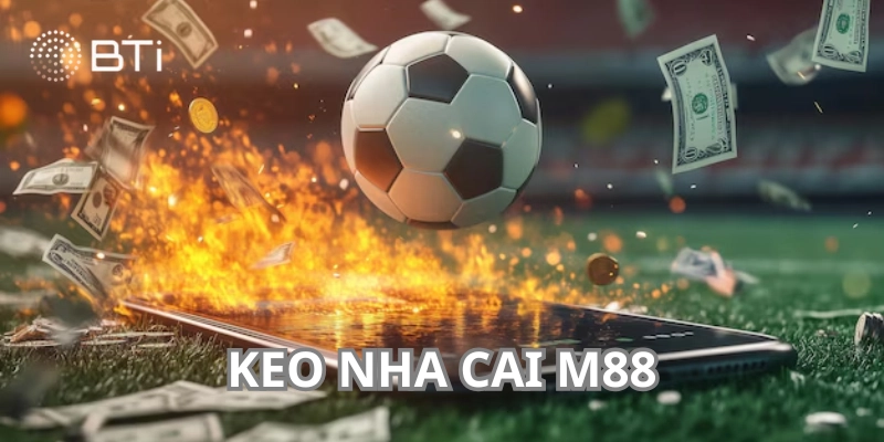 Giới thiệu toàn diện keo nha cai m88&nbsp;